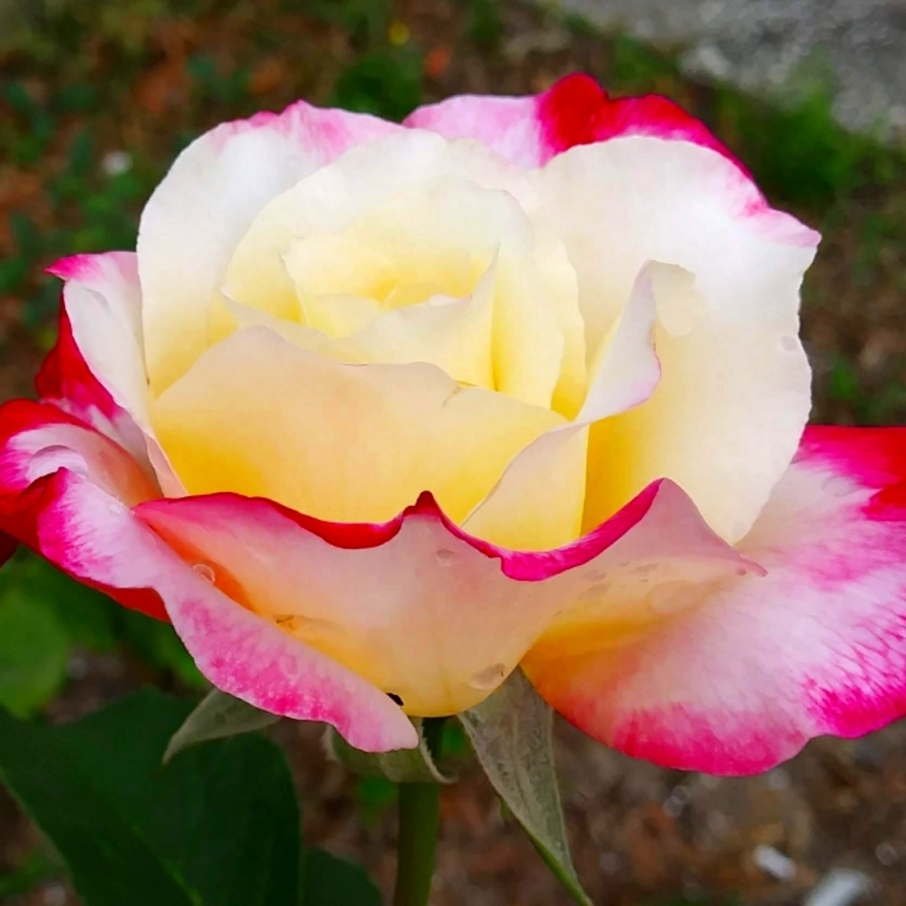 Meet your Posher, April